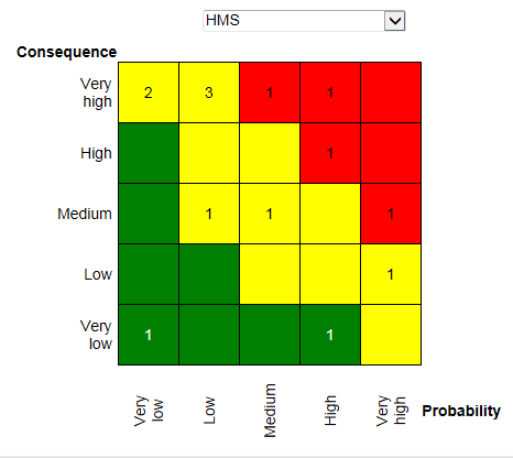 Risk Mangement 